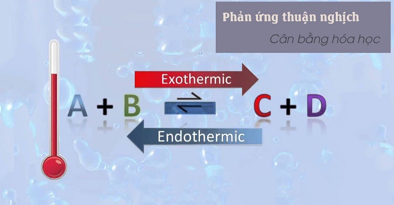 Phản ứng thuận nghịch: Khái niệm, loại hình và ứng dụng trong công nghiệp